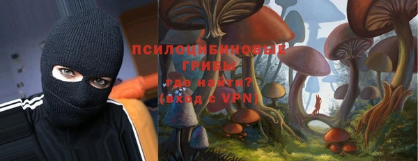 сатива Верея
