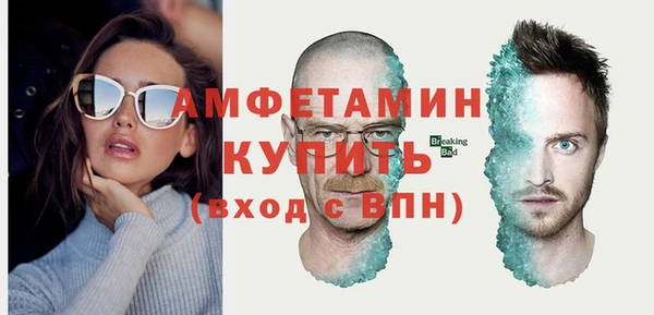 сатива Верея