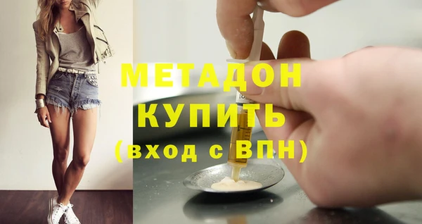 сатива Верея