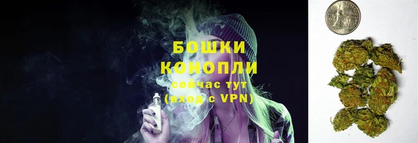 сатива Верея