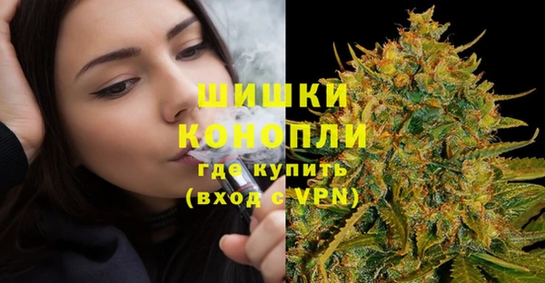 сатива Верея