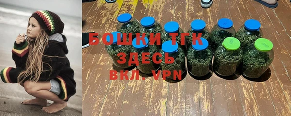 mix Верхний Тагил