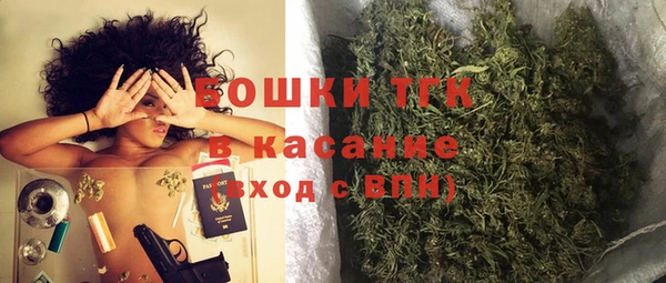 сатива Верея