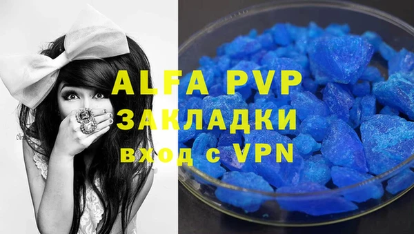 сатива Верея